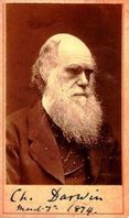 Charles Darwin (1874)